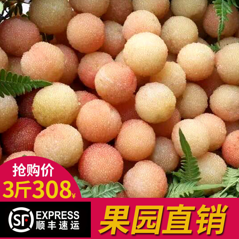 2026年上虞二都杨梅白沙杨梅 纯天然无添加新鲜杨梅1500g