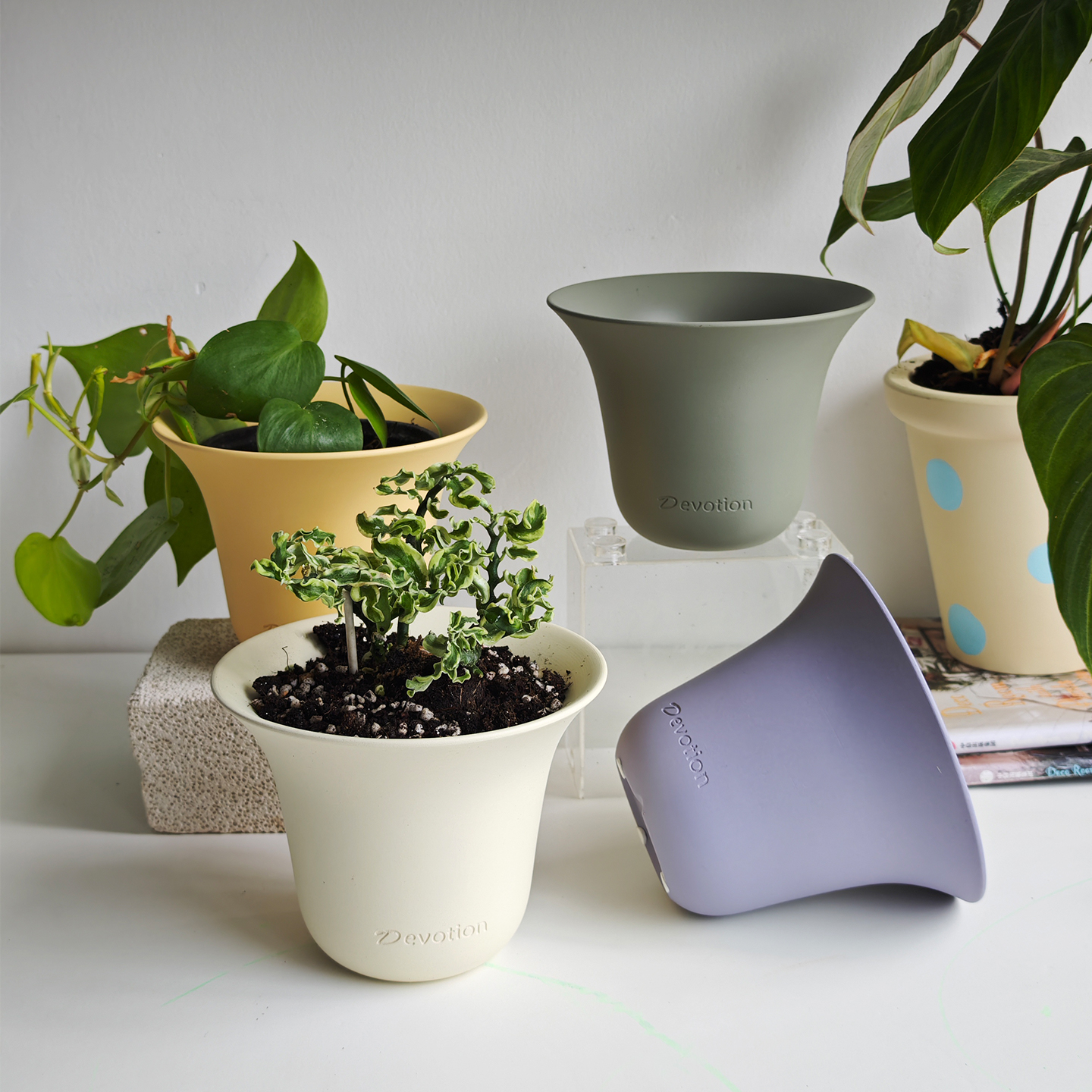 简约素色韩系透气花盆