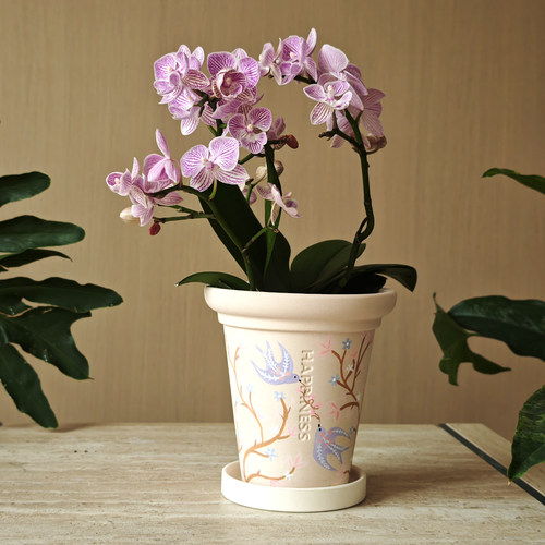 小众粗陶紫砂花盆利水透气桌面
