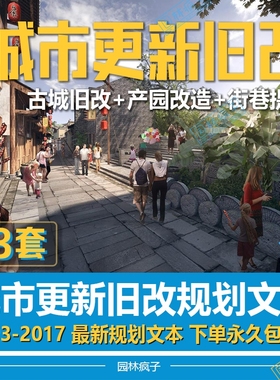 WB139城市更新旧城改造建筑景观产业园古城历史街区提升方案文本