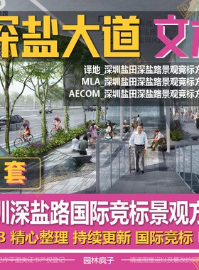 WB37道路大道深圳深盐路城市绿化提升道路景观规划方案设计文本