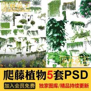 PS021景观攀爬类藤蔓植物垂直绿化爬藤山虎景观效果图PSD分层素材