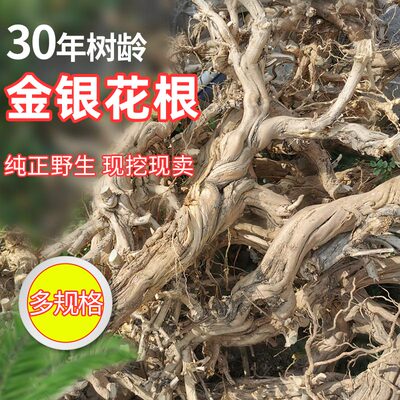 野生沂蒙山忍冬树根500g金银花