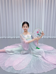 元旦新款江南可采莲演出服儿童古典舞刺绣纱衣鱼戏莲叶间池上舞蹈