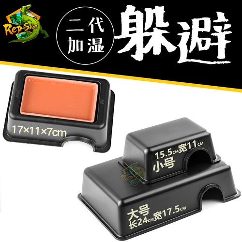 爬虫小型爬宠守宫角蛙躲避