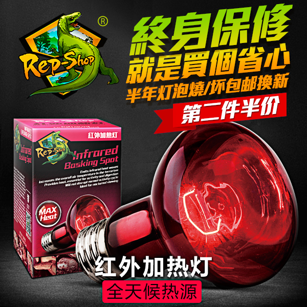 rs高品质红外线爬虫蜥蜴