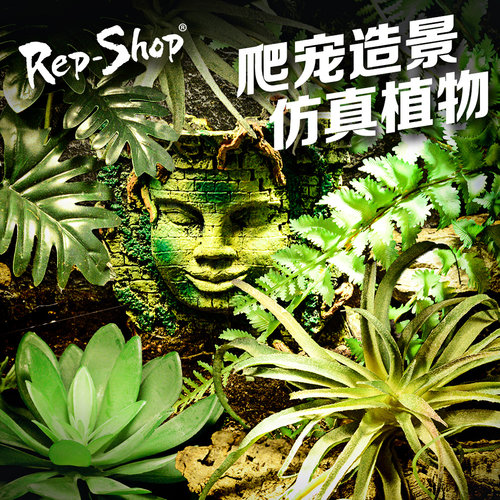 爬宠造景仿真植物Rep－Shop