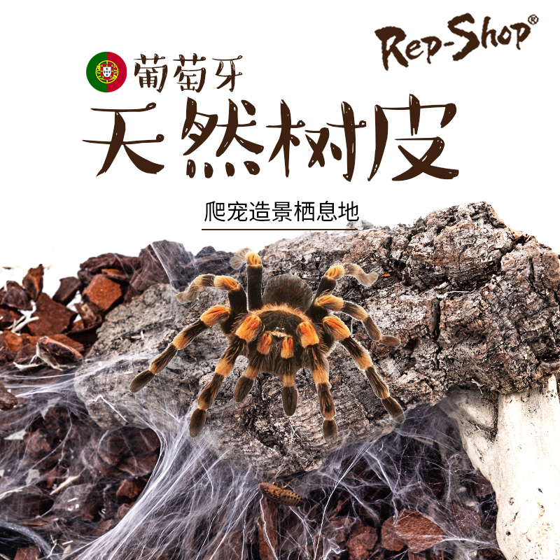 爬虫爬宠蜘蛛昆虫蜥蜴饲养箱饲养盒晒台躲避洞穴天然树皮造景攀爬