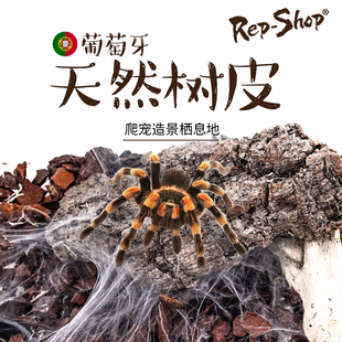爬虫爬宠蜘蛛昆虫蜥蜴饲养箱饲养盒晒台躲避洞穴天然树皮造景攀爬