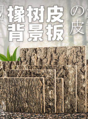 原木树皮造景背景板橡树皮爬宠缸饲养箱雨林蜥蜴守宫蛇爬虫树栖