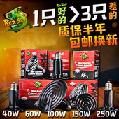 爬宠陶瓷加热灯陆龟刺猬鹦鹉蜥蜴爬虫箱保温灯宠物蛇饲养箱加热器