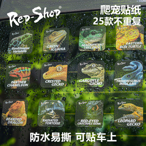爬宠贴纸防水PVC撕下不留残胶