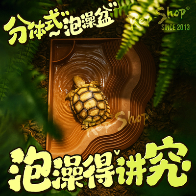陆龟分体式泡澡盆爬宠洗澡盆乌龟苏半水龟黄缘角蛙蛇下沉式水盆