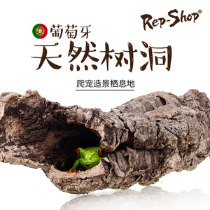 爬虫爬宠天然树洞躲避寄居蟹仓鼠造景洞穴树皮陆龟蜥蜴树蛙蛇蜘蛛