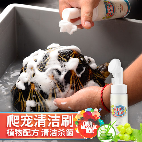 爬虫清洁刷蜥蜴陆龟洗澡杀菌