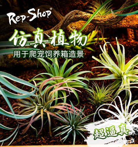 爬虫爬宠饲养箱造景高仿真假植物雨林陆龟蜥蜴变色龙沙漠绿植装饰