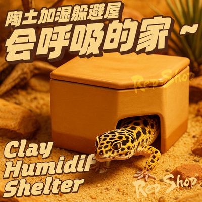 爬虫陶瓷加湿躲避豹纹守宫蜥蜴宠物蛇蜘蛛窝爬宠蜕皮阴凉保湿洞穴