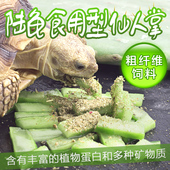 爬宠多肉型仙人掌陆龟粮粗纤维饲料苏卡达辐射豹龟星龟整片可种植