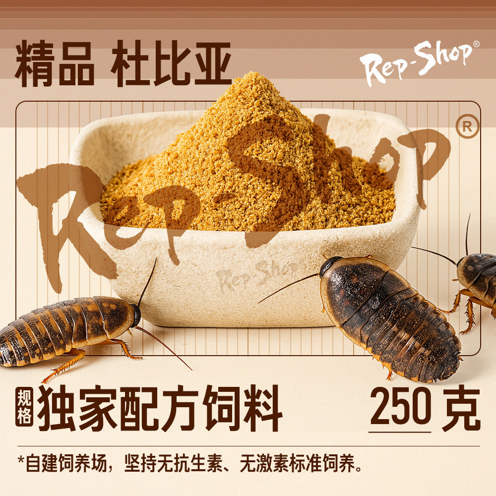 杜比亚蟑螂活虫活体饲料活饵龙鱼守宫鬃狮繁殖组营养超蟋蟀樱桃