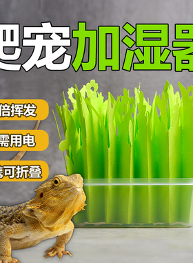 自然爬虫加湿器陆龟箱蜥蜴加湿爬宠箱保湿变色龙增湿器饲养箱造景