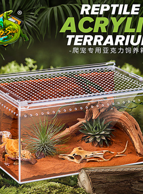 爬宠亚克力饲养盒爬虫宠物守宫箱蜗牛蜥蜴角蛙蛇蜘蛛生态螳螂缸