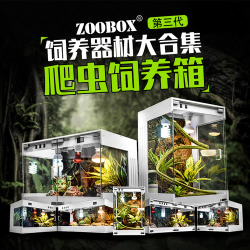 陆龟刺猬角蛙蜥蜴饲养箱