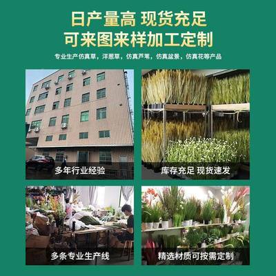 厅简约北欧风仿真蒲公英把婚束花支SF-809家居配客装饰商场橱窗礼
