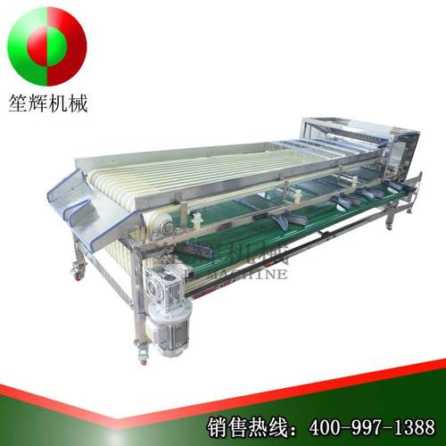 业红枣工风选筛选FJ-3000机 叶片分离机器毛豆类除杂工机 厂