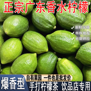 水果奶茶饮品店专用果 广东香水柠檬9斤现摘新鲜手打青柠檬应当季