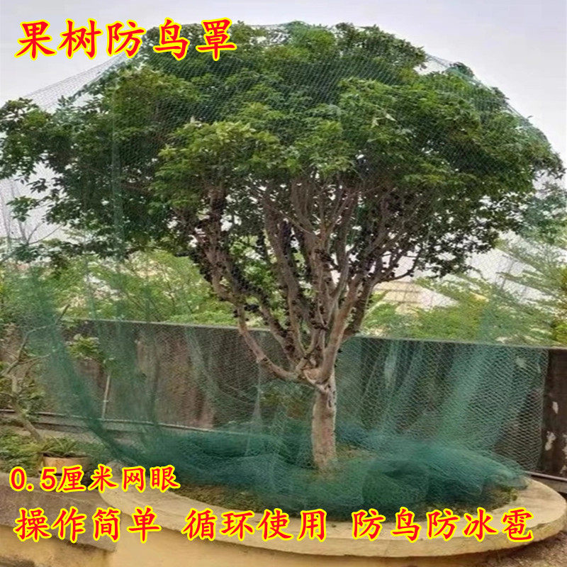 果树专用防鸟网罩樱桃枇杷葡萄嘉宝果蓝莓种植家庭庭院养殖果树罩