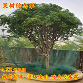 果树专用防鸟网罩樱桃枇杷葡萄嘉宝果蓝莓种植家庭庭院养殖果树罩