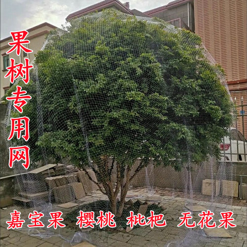 果树专用防鸟网罩嘉宝果樱桃