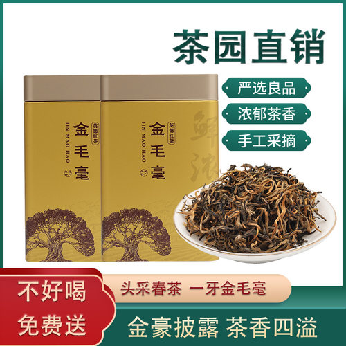 英德英红九号金毛毫一级500g罐装