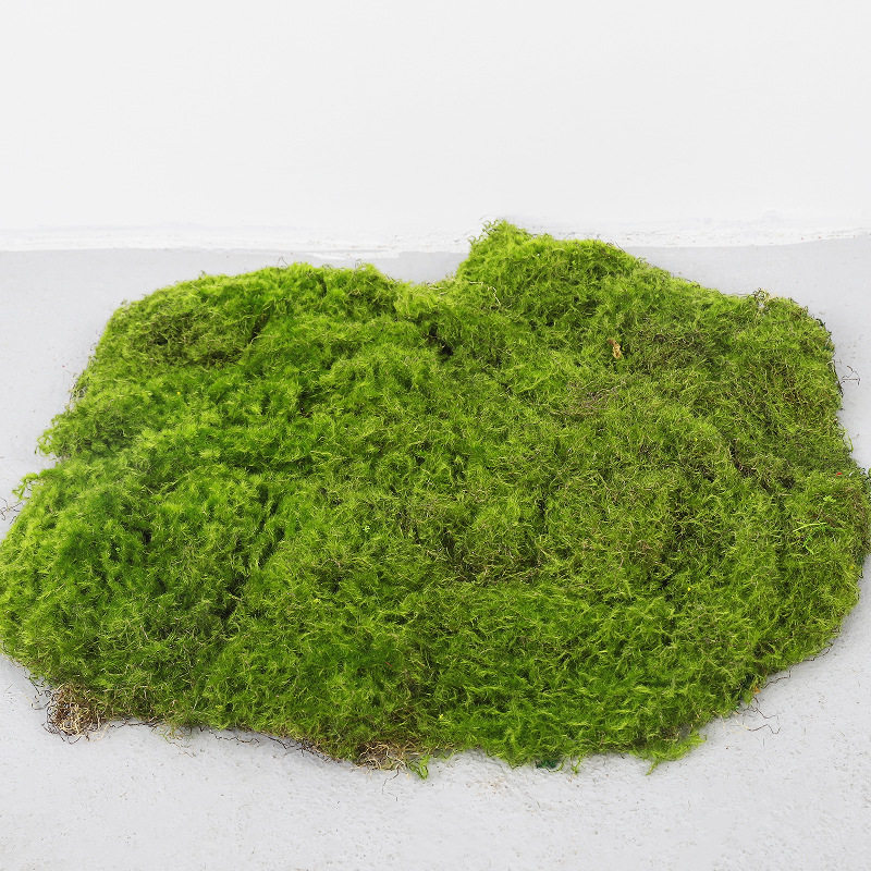 仿真植物草坪苔藓 室内景观摆件装饰植物墙仿生 仿真青苔造景