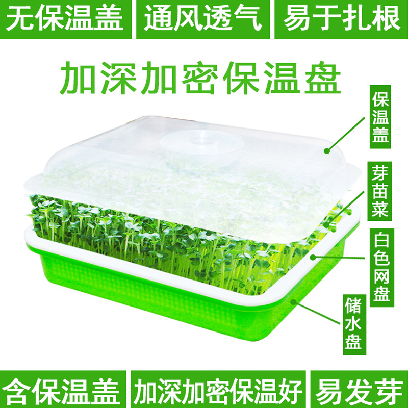 豆芽发芽盆芽苗菜育苗托盘无土栽
