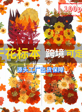 新品25pcs橙色干花压花包diy材料包压花真花植物标本树叶