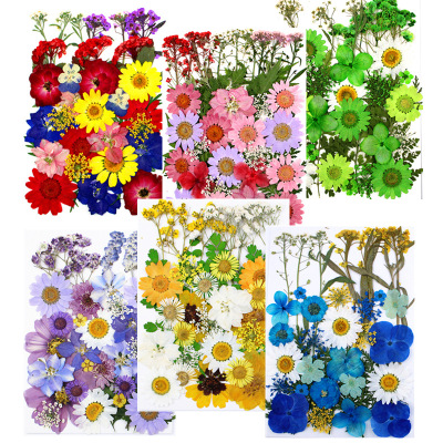 干花压花组合包166535