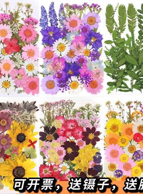 干花压花直销滴胶香薰手工手账贴花 天然植物标本花瓣妆