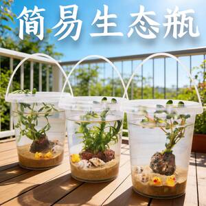 透明手提桌面微景观生态瓶