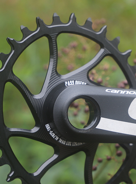 PASS QUEST cannondale SL SISL FSA佳能戴尔椭圆正负齿单盘盘片