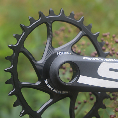 PASS QUEST cannondale SL SISL FSA佳能戴尔椭圆正负齿单盘盘片