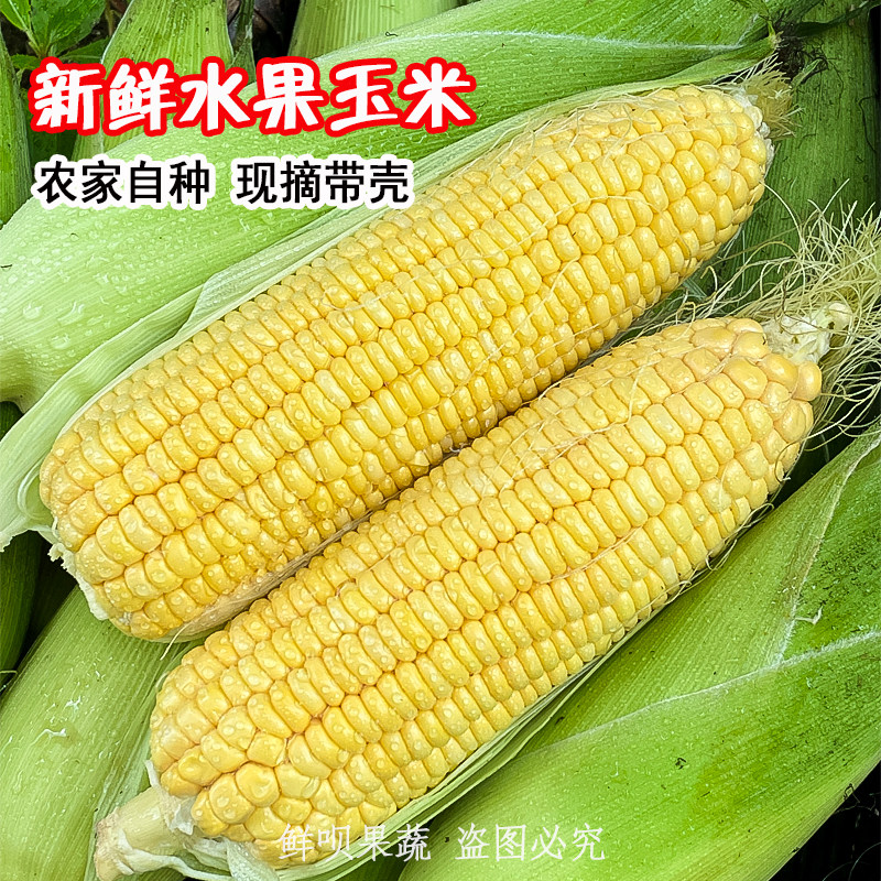 贵州本地水果玉米新鲜现摘带壳北纬鲜甜玉米即食牛奶棒子农家