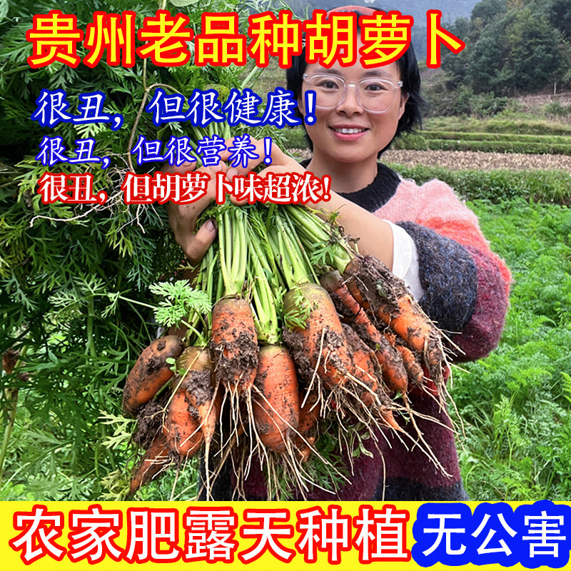 贵州农家自种胡萝卜新鲜蔬菜水果老品种带泥甜脆现挖生吃做辅食
