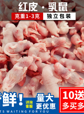 支持批发免费开票独立包装