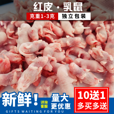 支持批发免费开票独立包装