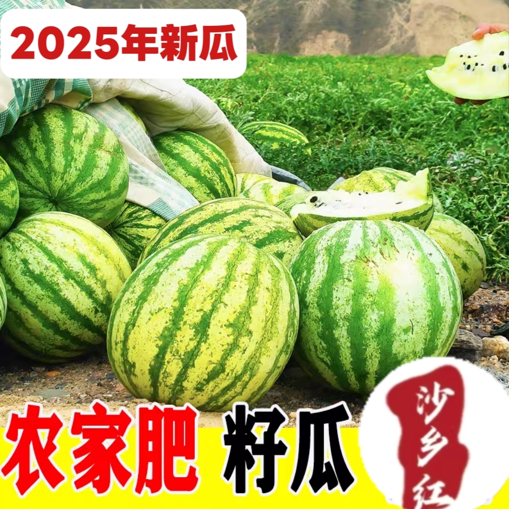 甘肃民勤大变小籽瓜新鲜戈壁滩打瓜当季沙瓤整箱孕妇儿童榨汁水果