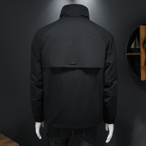 2025冬款男士羽绒服90白鸭绒-电商D252-89107P340-448假模图片