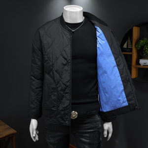 2025冬款男士羽绒服90白鸭绒-电商D252-89049P240-299假模图片