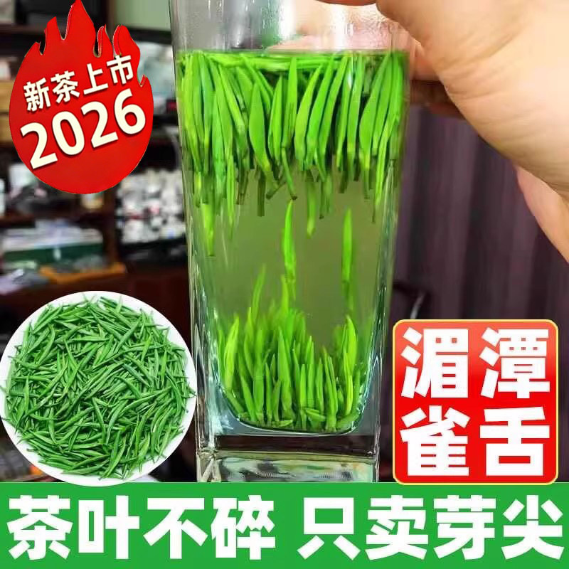 2026新茶特级雀舌茶叶绿茶嫩芽明前浓香型毛尖耐泡头采全芽250克