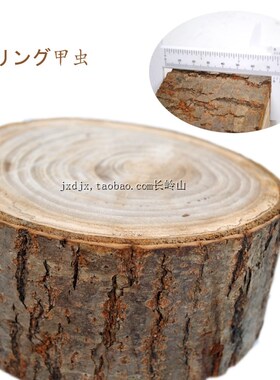 栎木新款粗树皮纹PK擂台实木台展示台独角仙甲虫拍摄道具擂台精品